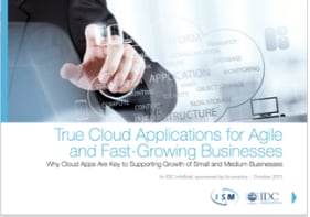 True-Cloud-Applications-Agile-Fast-Growing-Business-White-Paper-cover-ERP-ISM.png
